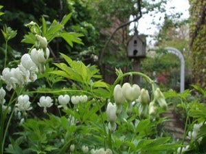 tender are the hours. spring. tender are the hours. spring.
