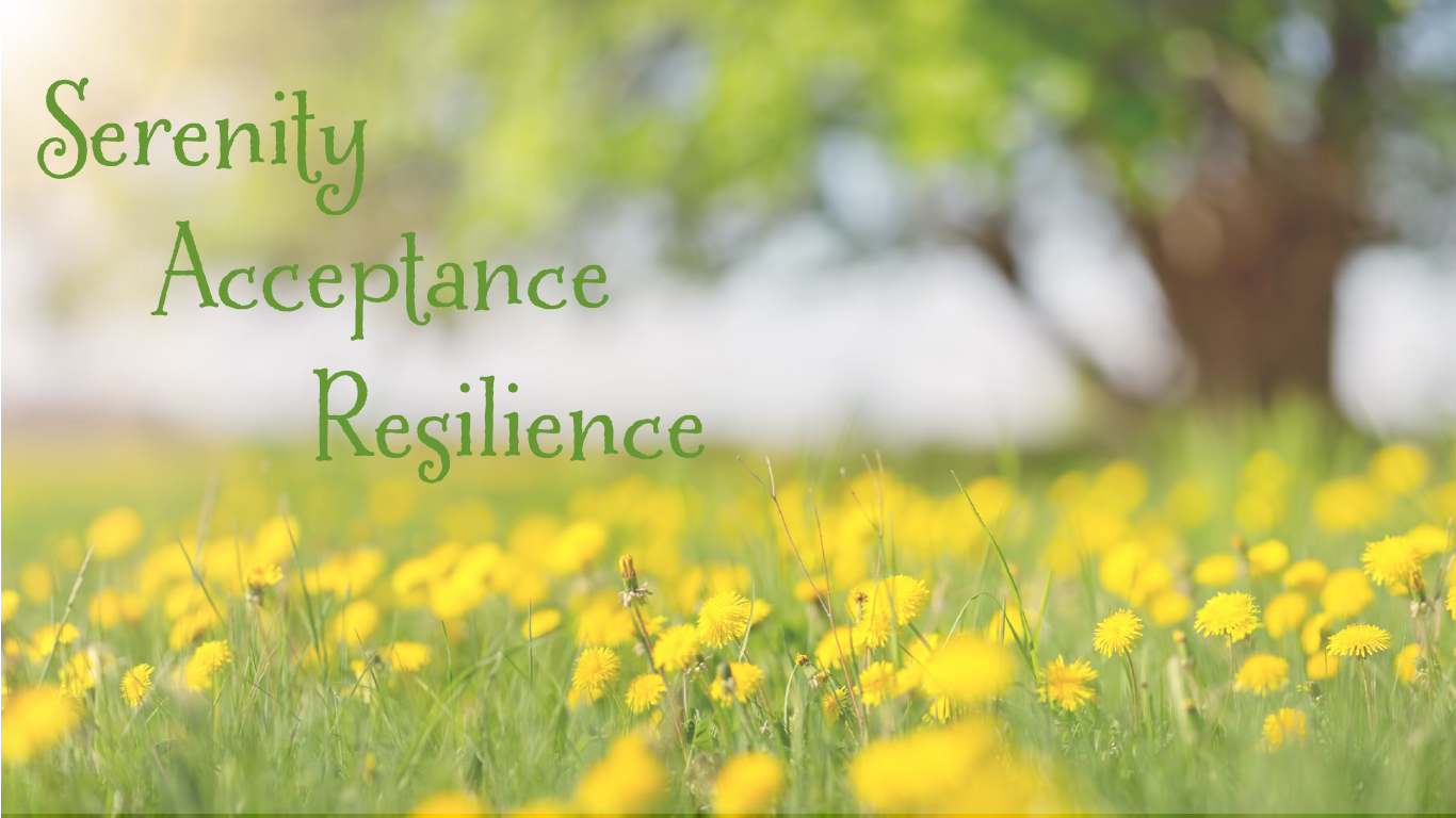 A field of dandelions with a tree in the background and the sun in the top left corner. The words Serenity, Acceptance, and Resilience are seen on the left side of the image.