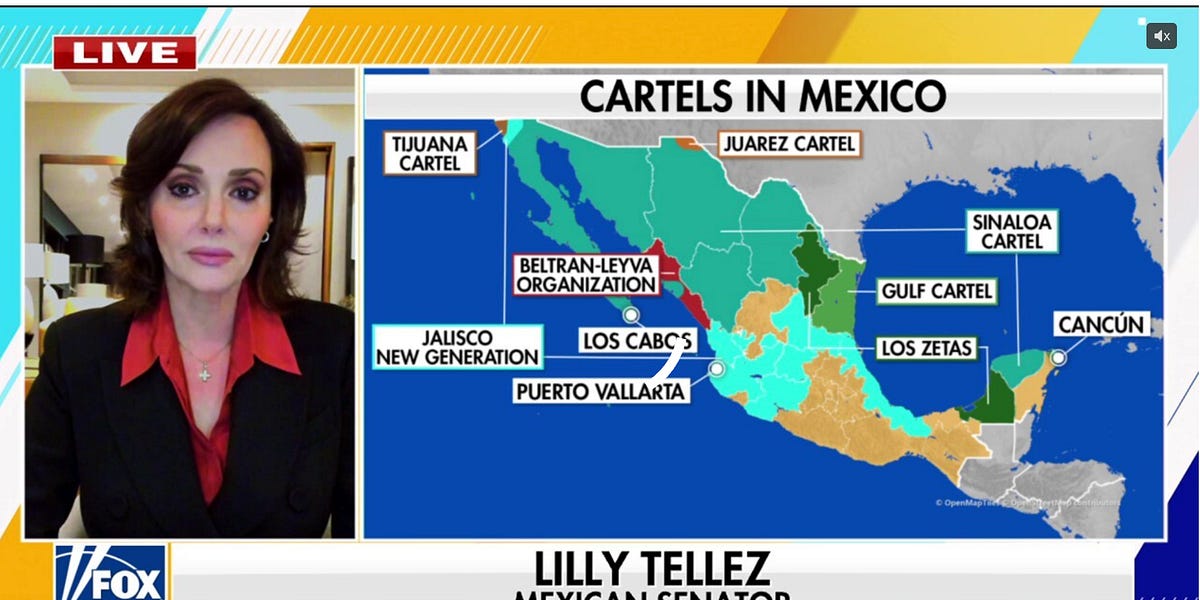 Who Is Lilly Téllez? PAN Senator Sparks Controversy with Fox News Interview