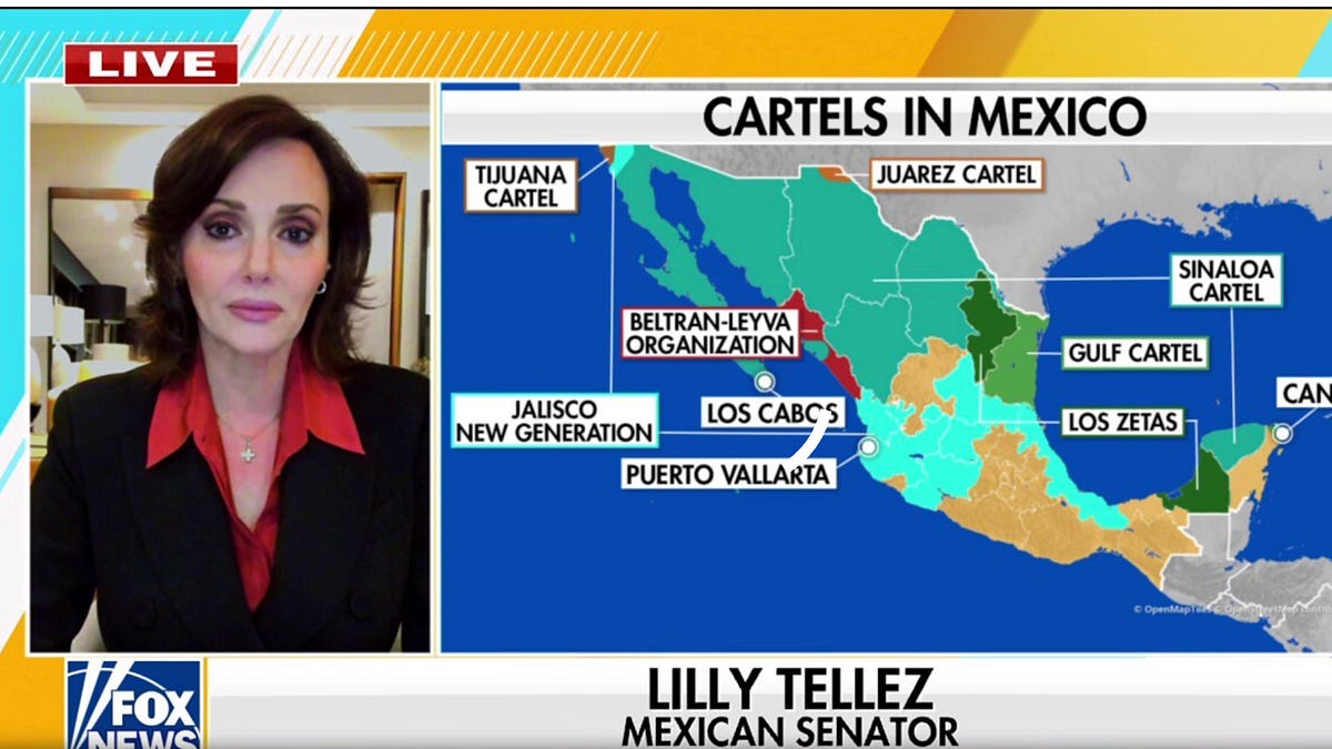 Who Is Lilly Téllez? PAN Senator Sparks Controversy with Fox News Interview