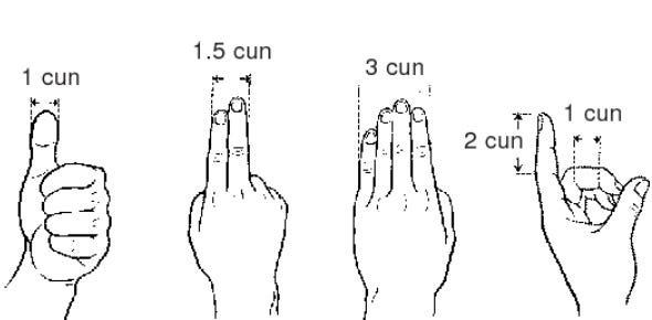 Four hands line drawn, each showing the measurement of 1 cun (thumb width), 1.5 cun (two finger width), 3 cun (four finger width), alternate 1 cun or 2 cun finger length