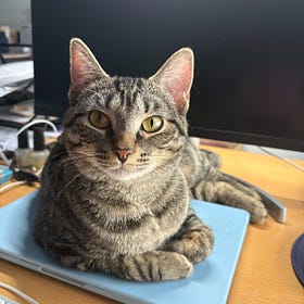 Contrarian Pet of the Week