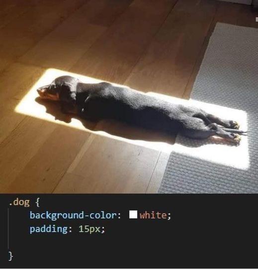 May be an image of dog and text that says 'dog { background-color: padding: 15px; white;'