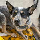 Balance: Being respectful of others without “living in fear”