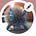 Timothy's avatar