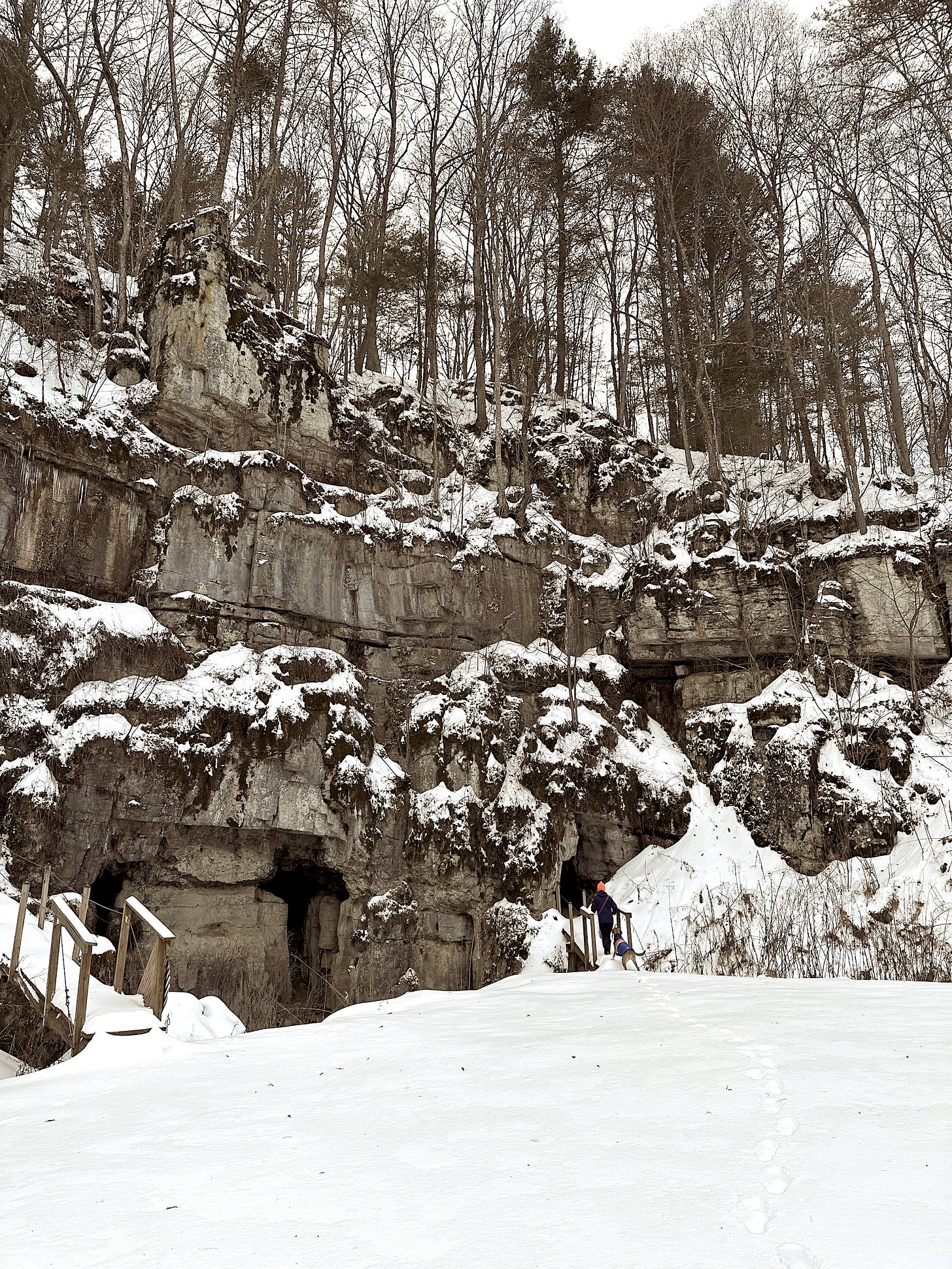 Rob (the author) and Zadie (family dog) standing, on a snowy winter day, at a limestone cliff wall full of cave entrances in Highland County, VA.