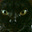 J C's avatar