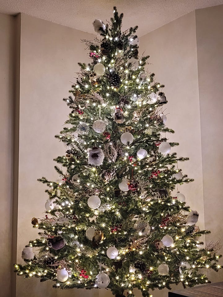 Image of Kourtney J.'s Christmas trees