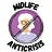 Midlife Anticrisis