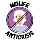Midlife Anticrisis