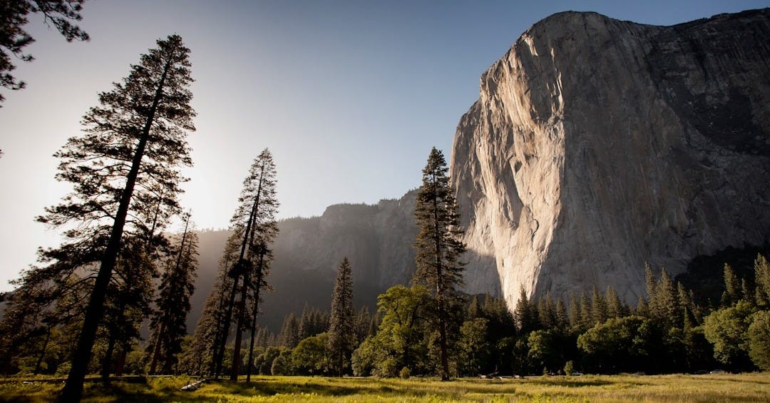 landmark photography of trees near rocky mountain under blue skies daytime