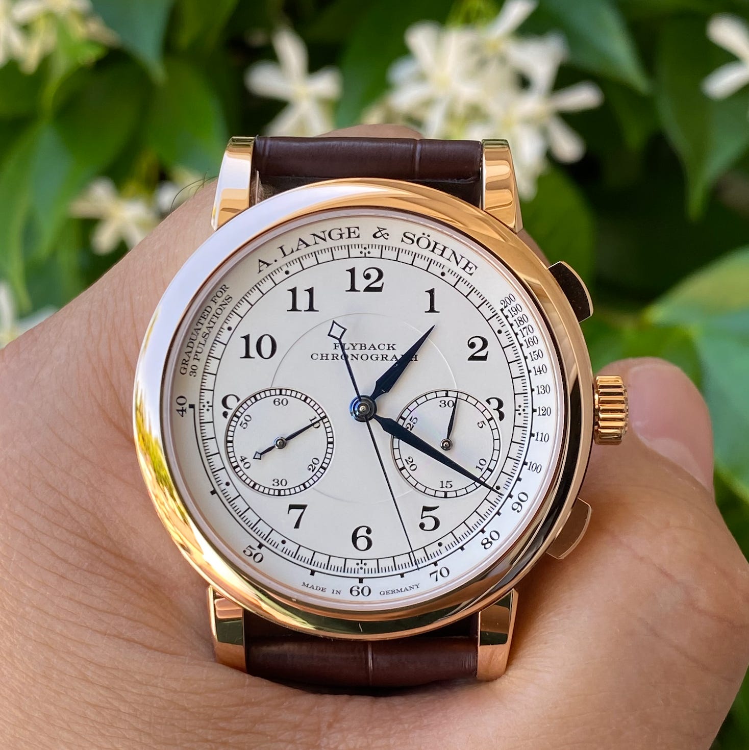 【pink hawaii】 Review: A. Lange & Söhne 1815 Flyback Chronograph Pink Gold with