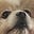 Lee's avatar