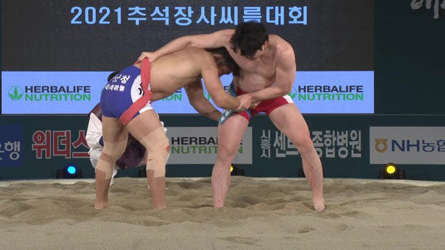 금강급 최강자' 임태혁, 추석 씨름 3연패…통산 19번째 장사