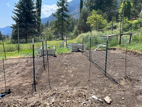 setting trellis panels in using 3 t-posts showing spacing between rows