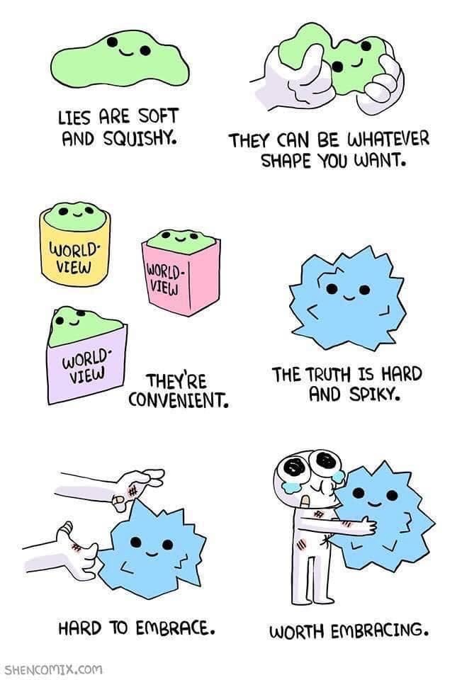 May be an image of text that says 'LIES ARE SOFT AND SQUISHY. THEY CAN BE WHATEVER SHAPE YOU WANT. WORLD. VIEW WORLD- VIEW WORLD VIEW VIEW THEY'RE CONVENIENT. THE TRUTH IS HARD AND SPIKY. HARD TO EMBRACE. SHENCOMIX.cOM WORTH EMBRACING.'