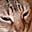 yean's avatar