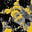 Jennifer A F's avatar