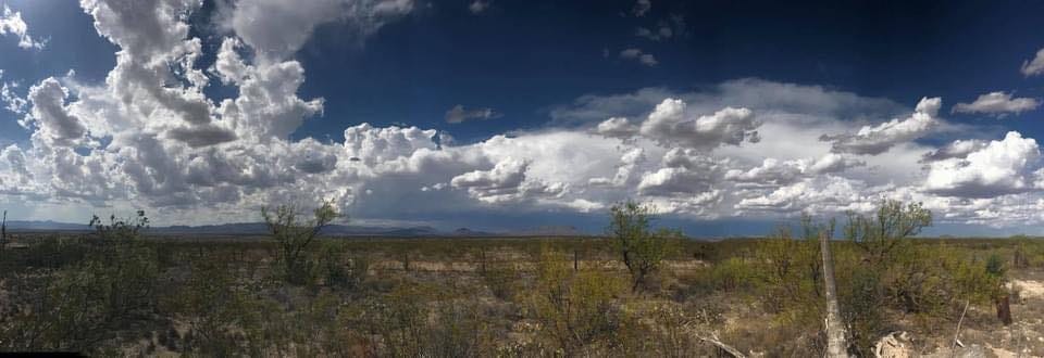 May be an image of nature, tree, mountain and cloud