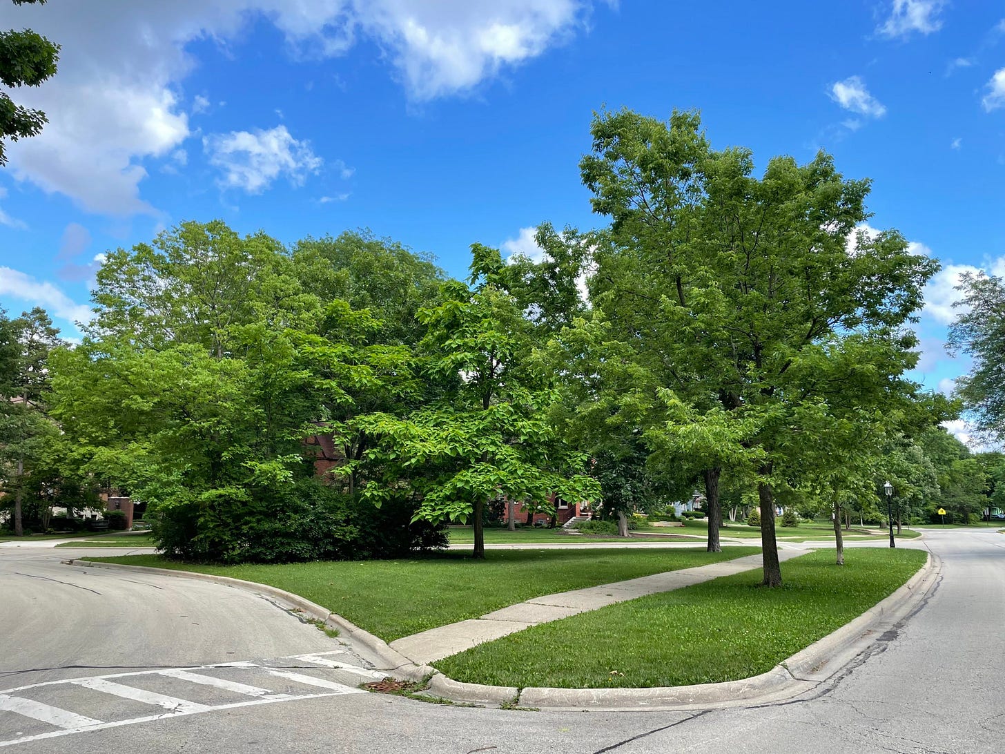 Photo of small, triangle-shaped park framed on all sides by empty streets. The park has grass, a sidewalk, and several green leafy trees.