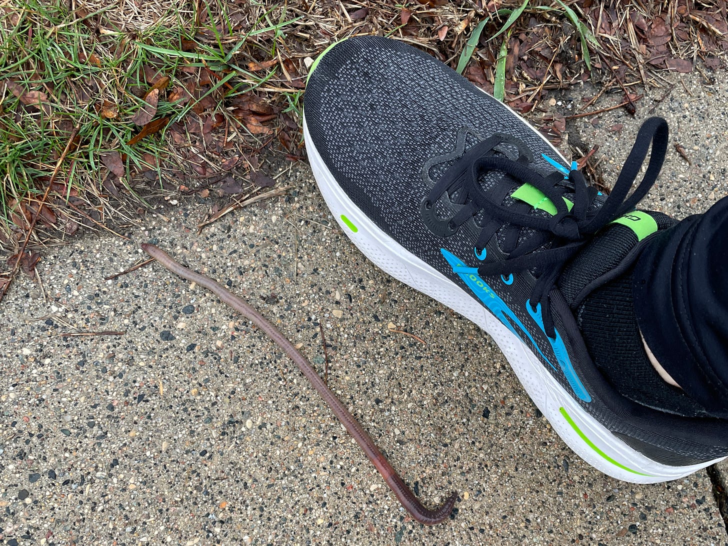 A foot wearing a black, white and green running shoe standing on a sidewalk beside an earthworm that is nearly as long as the shoe.