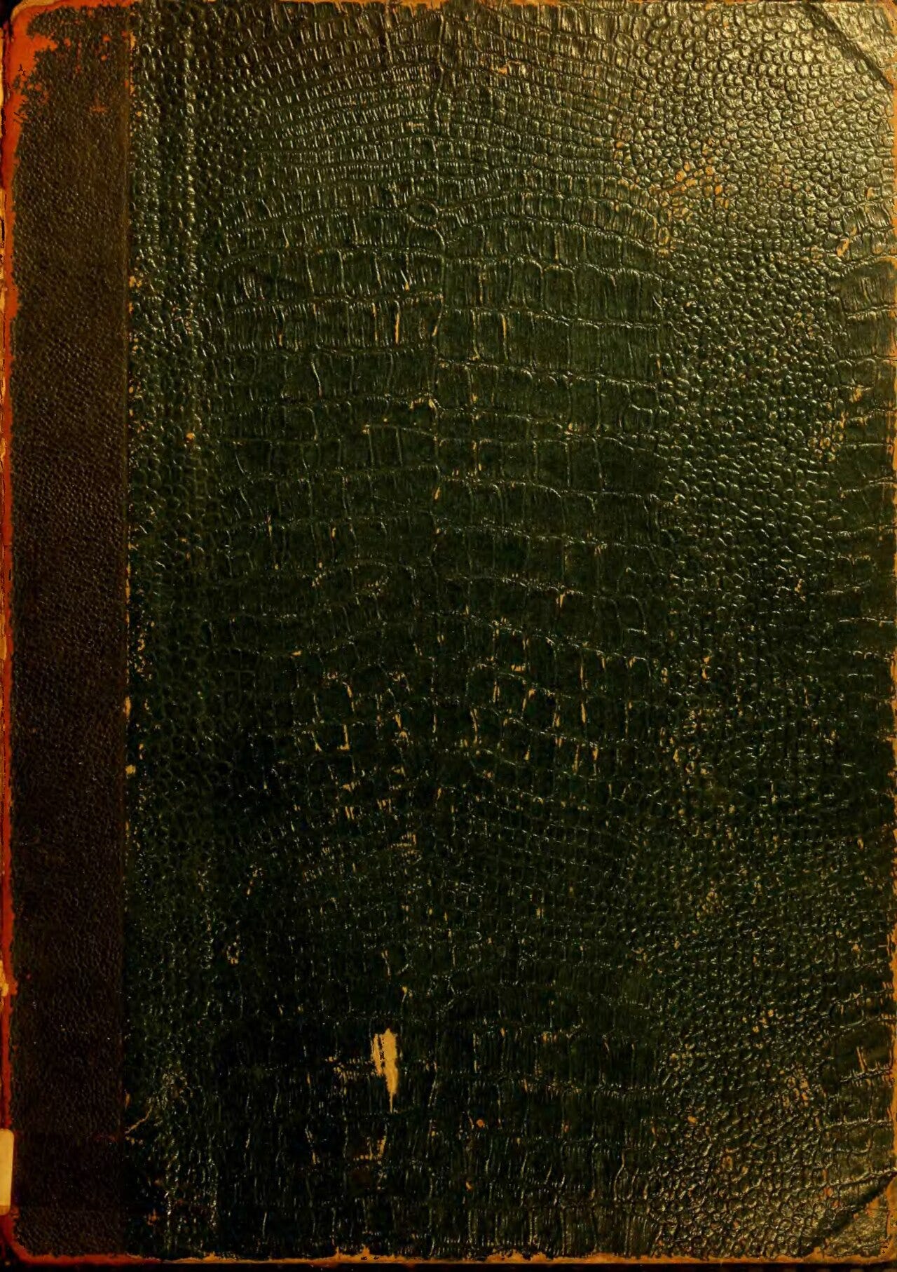 26 cm x 18 cm