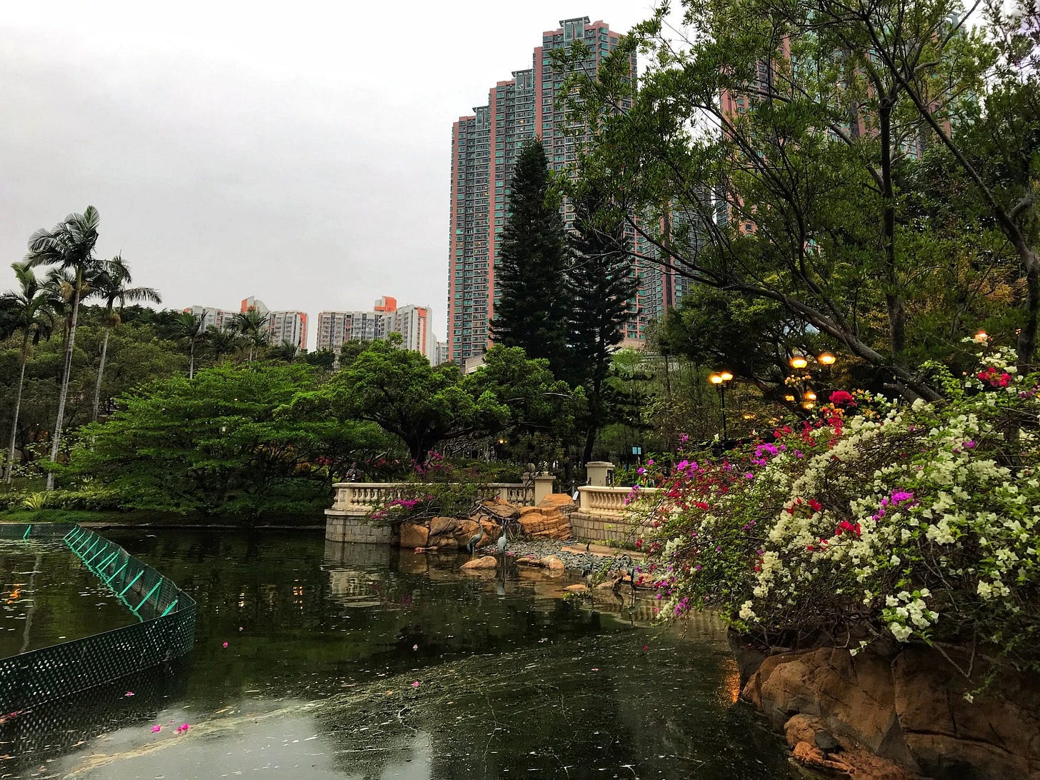 Lush vegetation and splashes of color at Tsing Yi Park Lush vegetation and splashes of color at Tsing Yi Park