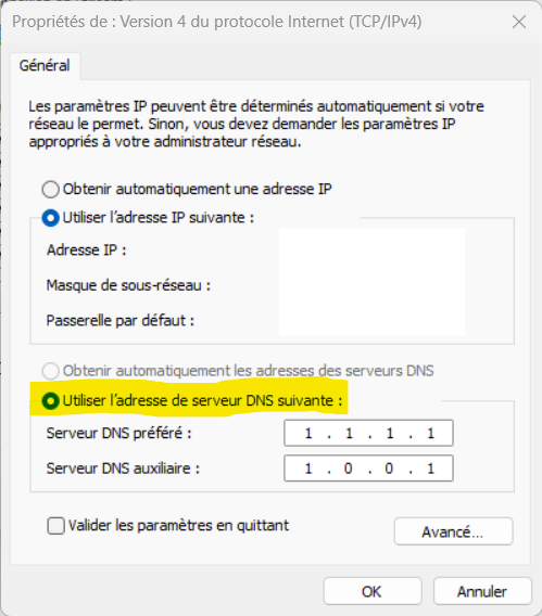 modifier dns windows modifier dns windows