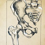 Anthropology.net