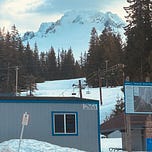 atopy’s Newsletter