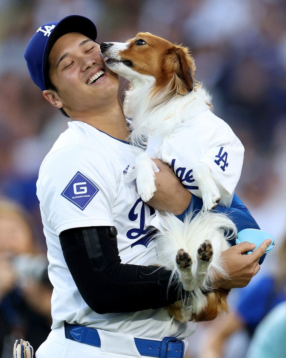 Shohei Ohtani gets licked by Decoy after their first pitch at Dodger Stadium. Ohtani wears a home white Dodgers uniform with blue lettering and Decoy wears a home white Dodgers jersey.