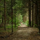 The sense of a place