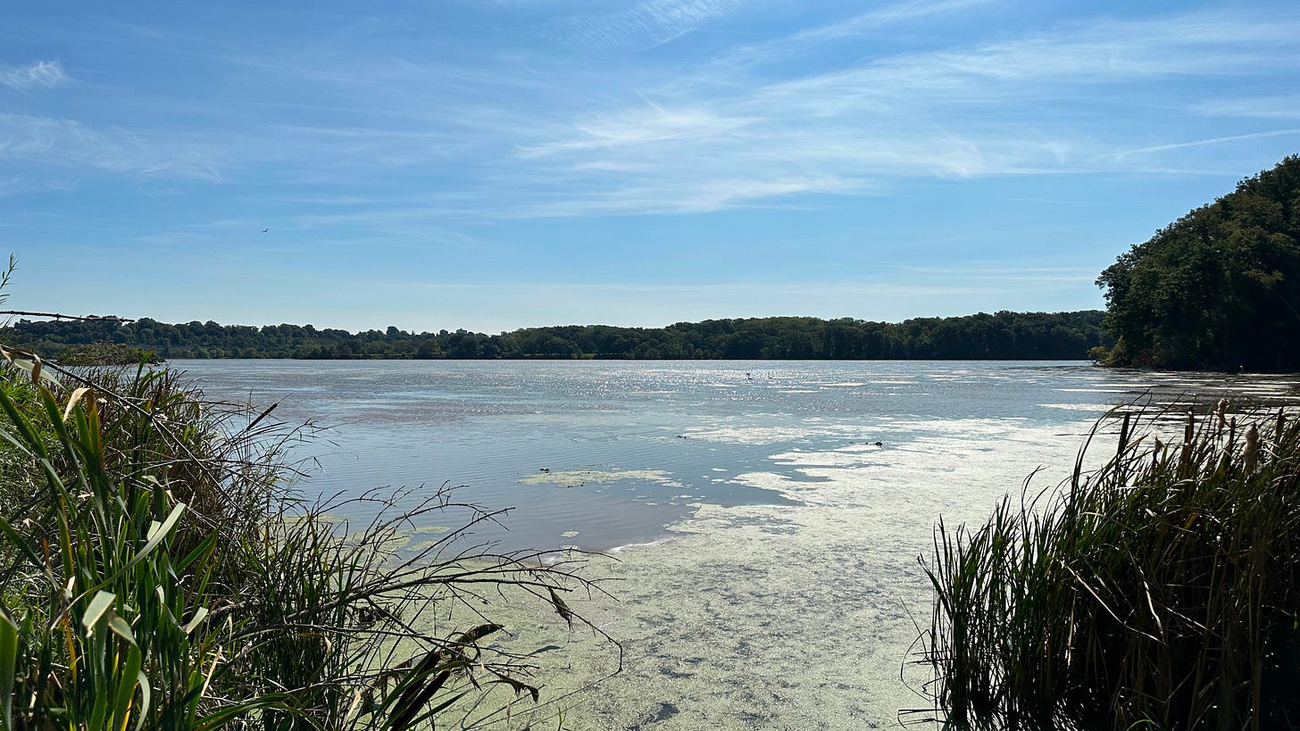 Hamilton Harbour from the Anishanaabe Waadiziwin trail during the first part of an Indigenous led water walk on September 22
