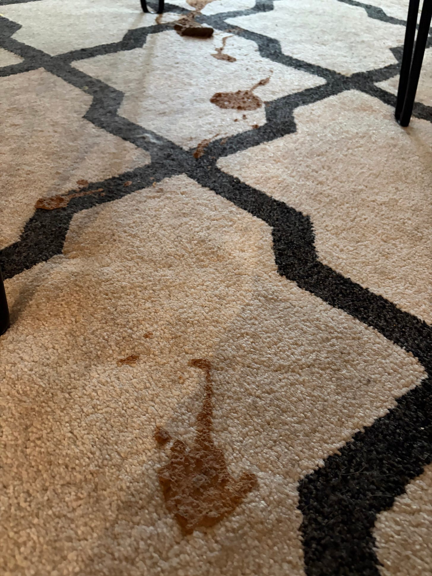 Photo by Tara Dublin on May 25, 2026. May be an image of carpet and text.