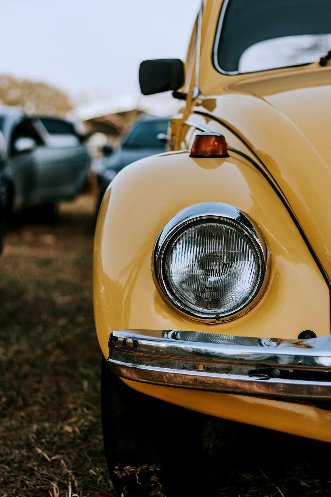 photo of yellow Volkswagen Beetle photo of yellow Volkswagen Beetle