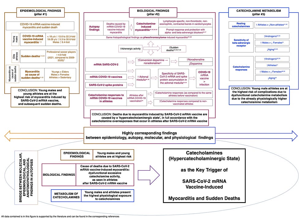 Summary-of-the-rationale-and-supporting-data-for-the-present-hypothesis.