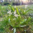 Havenwood April Garden Tour