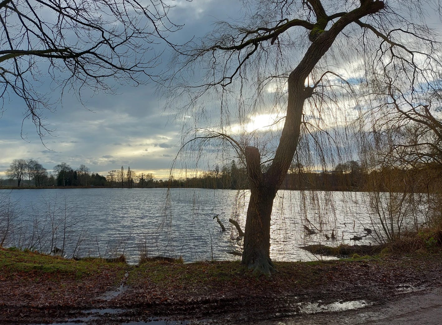 View over the Rantzauer See, a leaf-less tree in front, dark clouds