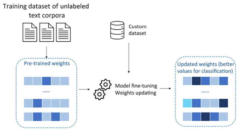 Figure 1.12: Illustration of the process of fine-tuning