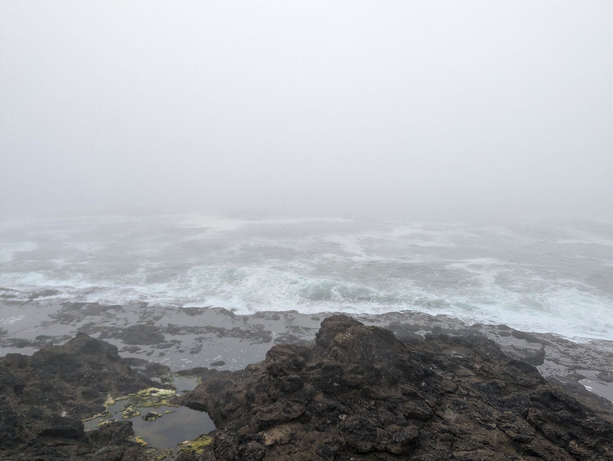 foggy Oregon coastline