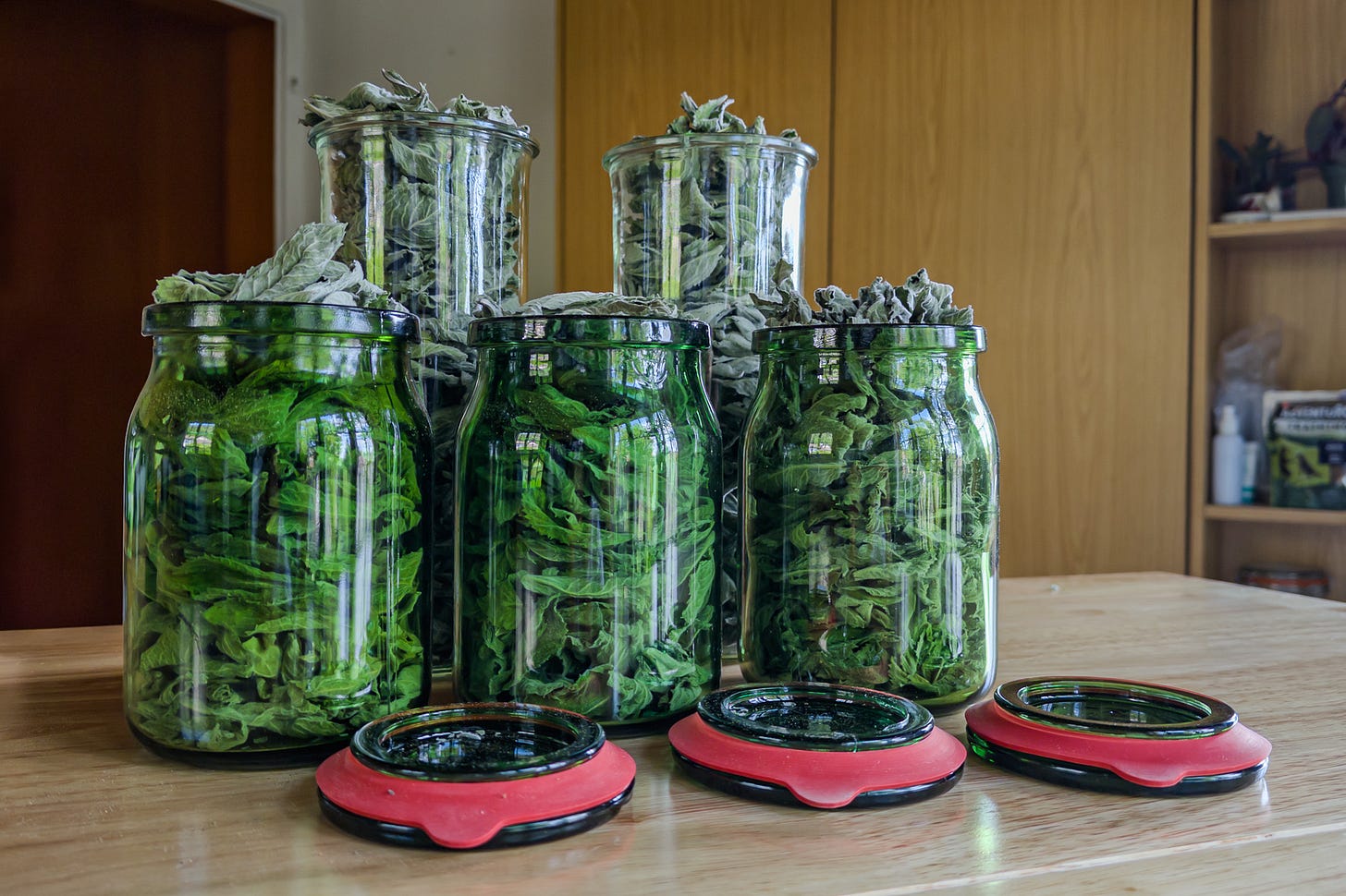 Fünf grosse Gläser mit getrockneter Minze stehen auf einem Holztisch; drei grüne Bülach-Gläser vorne und zwei Weck-Gläser hinten sind dicht mit den graugrünen, eingerollten Minze-Blättern gefüllt. Vor den Bülach-Gläsern liegen drei passende Glasdeckel mit roten Gummiringen.