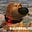Squirrel 2017's avatar