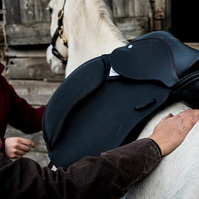 Feed manufacturer’s survey reveals equestrian industry’s views on equine obesity