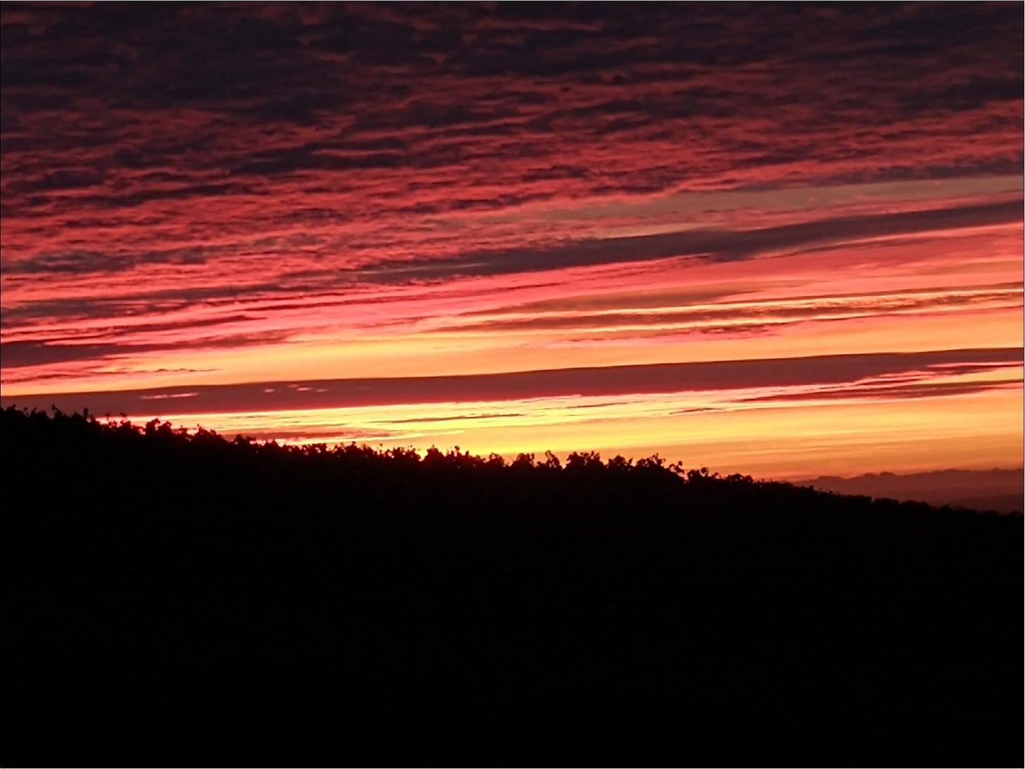 The last best day from the last best place to grow Pinot Noir.