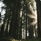 Do You Make Yourself Smaller Around Certain Friends?