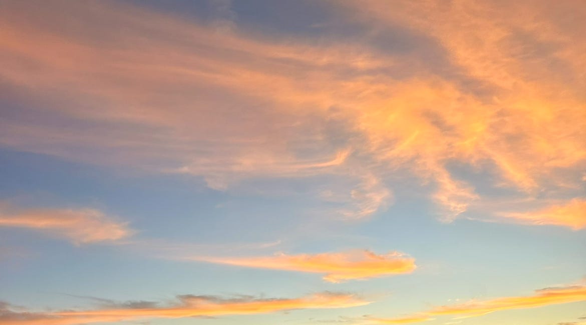 What AI Can’t Feel & Why That Matters for Optimal Health