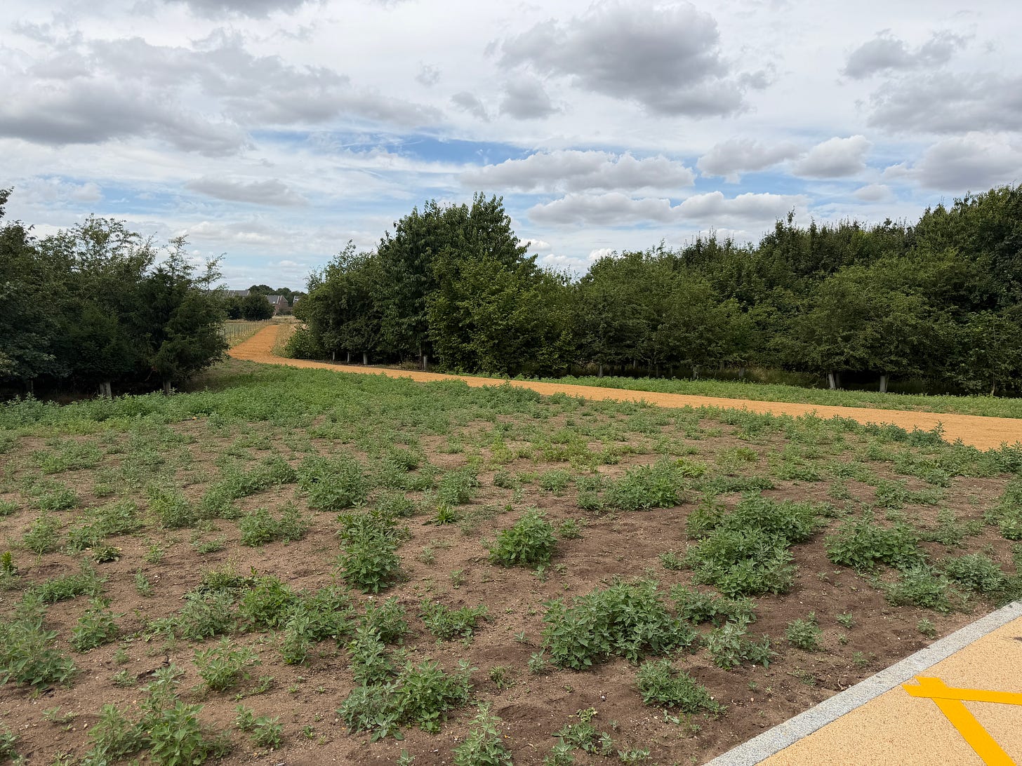 Photo of countryside with a gravel path on western side of the station.
