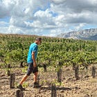 In Provence, Do Appellations Even Matter?