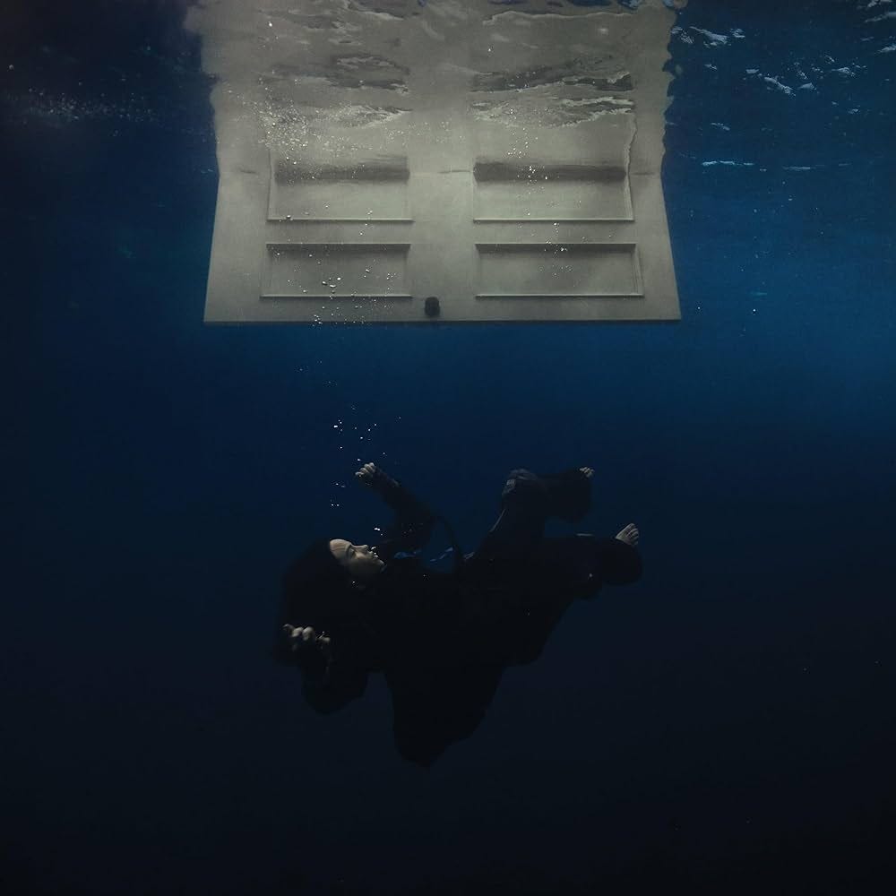 HIT ME HARD AND SOFT (Amazon Exclusive Edition): Amazon.co.uk: CDs & Vinyl