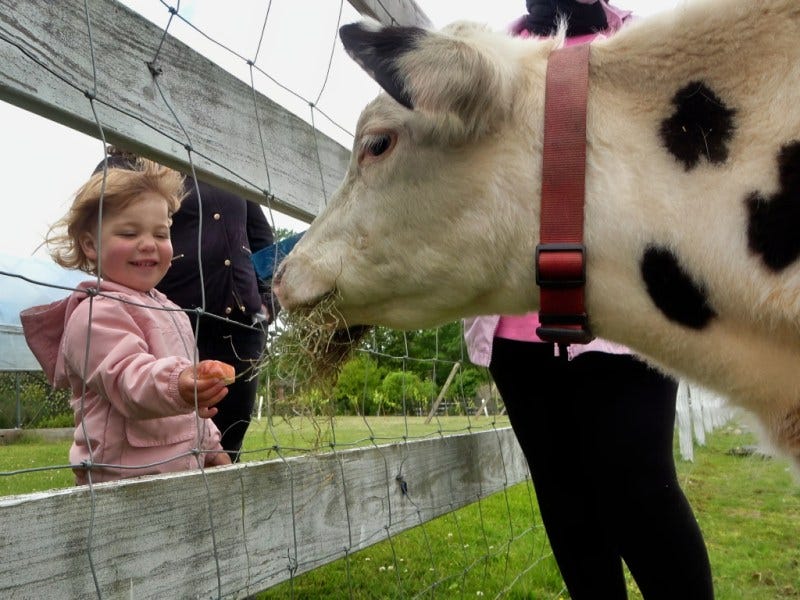 West Place Animal Sanctuary to host Fall Visitors Weekend